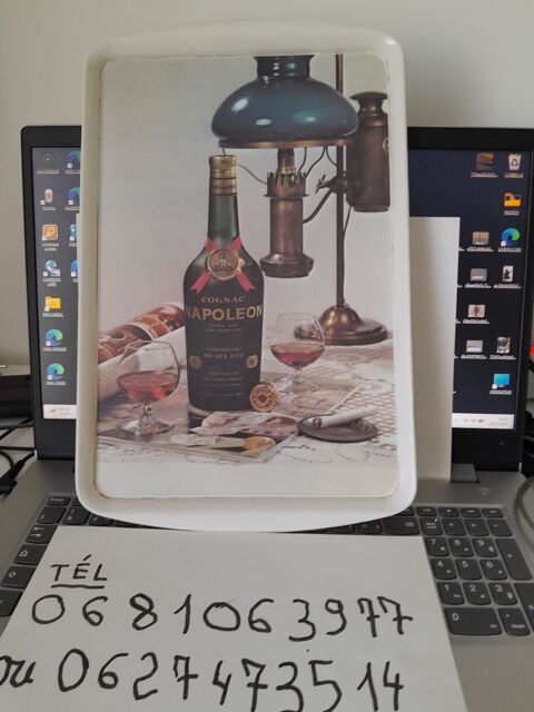 Plateau sur Cognac : TEL 0627473514 Jarnac (16)