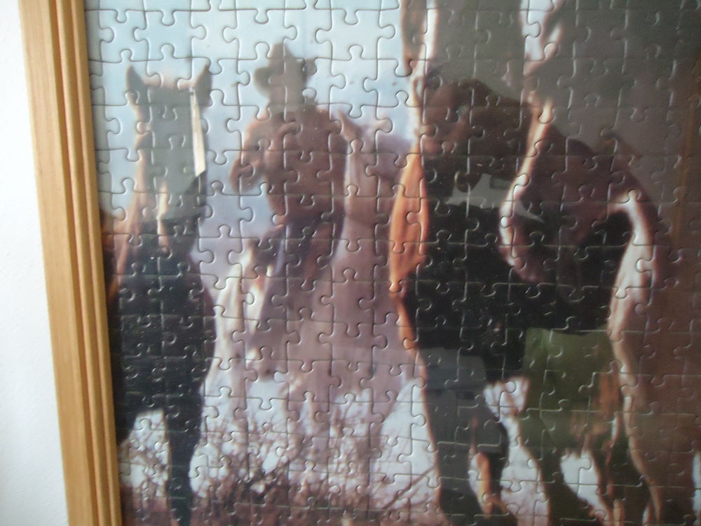 PUZZLE N&deg;3 Jeux / jouets