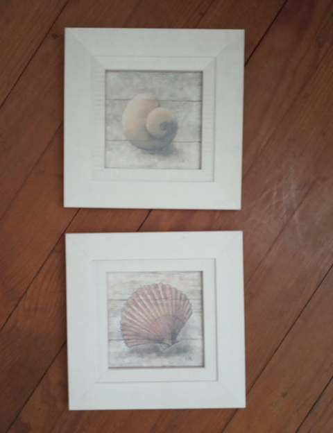 2 cadres coquillage  10 Saint-Jean-d'Ang�ly (17)