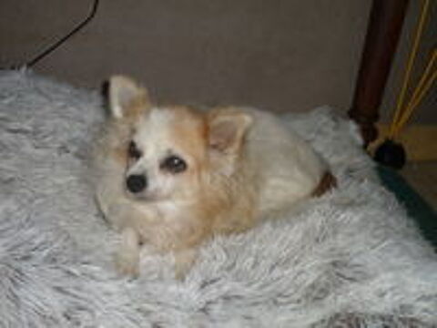   AVIS DE RECHERCHE 
