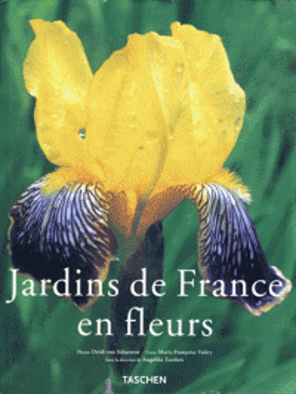 Livre Jardins de France en fleurs Livres et BD