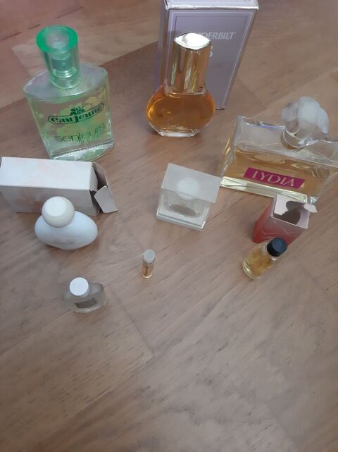 flacons et miniatures parfum 10 Gidy (45)