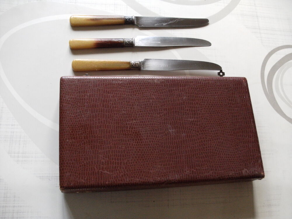  coffret de 12 couteaux inox manche en corne Cuisine