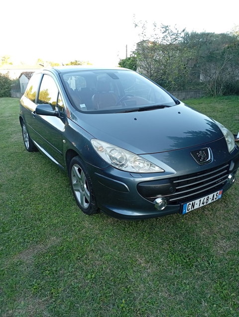 Peugeot 307 2.0 HDi 16V - 136 Féline FAP A (7