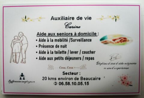 Auxiliaire de vie 0 30300 Beaucaire