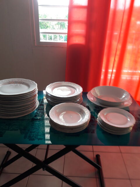 Ensemble de vaisselles 100 Guyane (97)