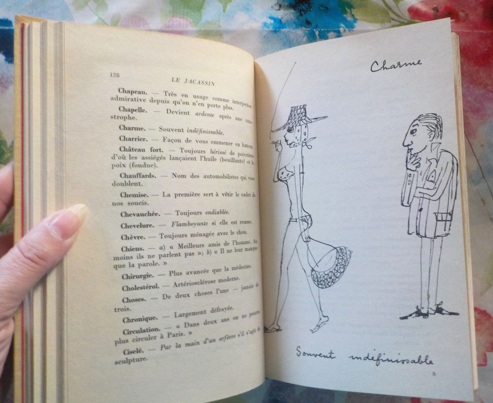LE JACASSIN par Pierre DANINOS Ed. Hachette 1962 Livres et BD