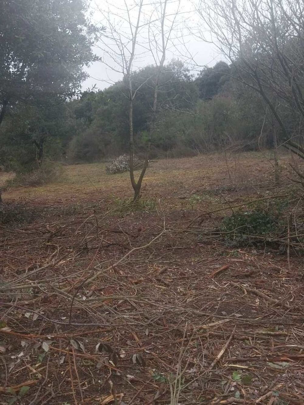 Vente Chalet terrain de loisir Saint-pons-de-thomières