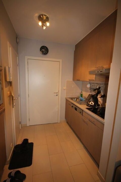  Appartement � louer 1 pi�ce 30 m�