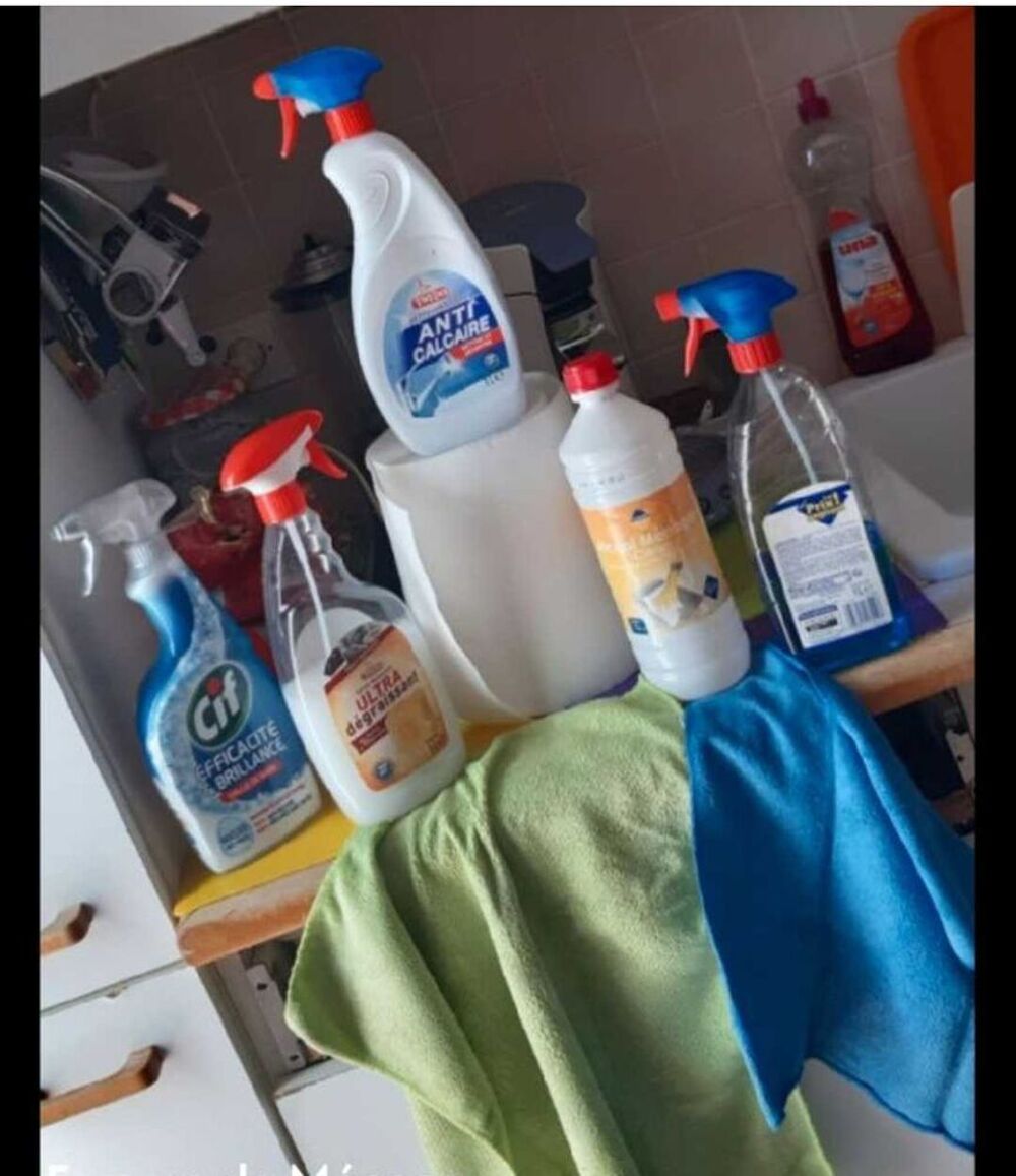   Véritable Fée pour l'entretien de votre domicile 