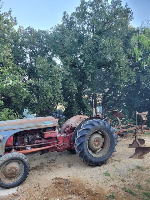 MASSEY FERGUSSON Utilitaire 1957 occasion Grimaud 83310