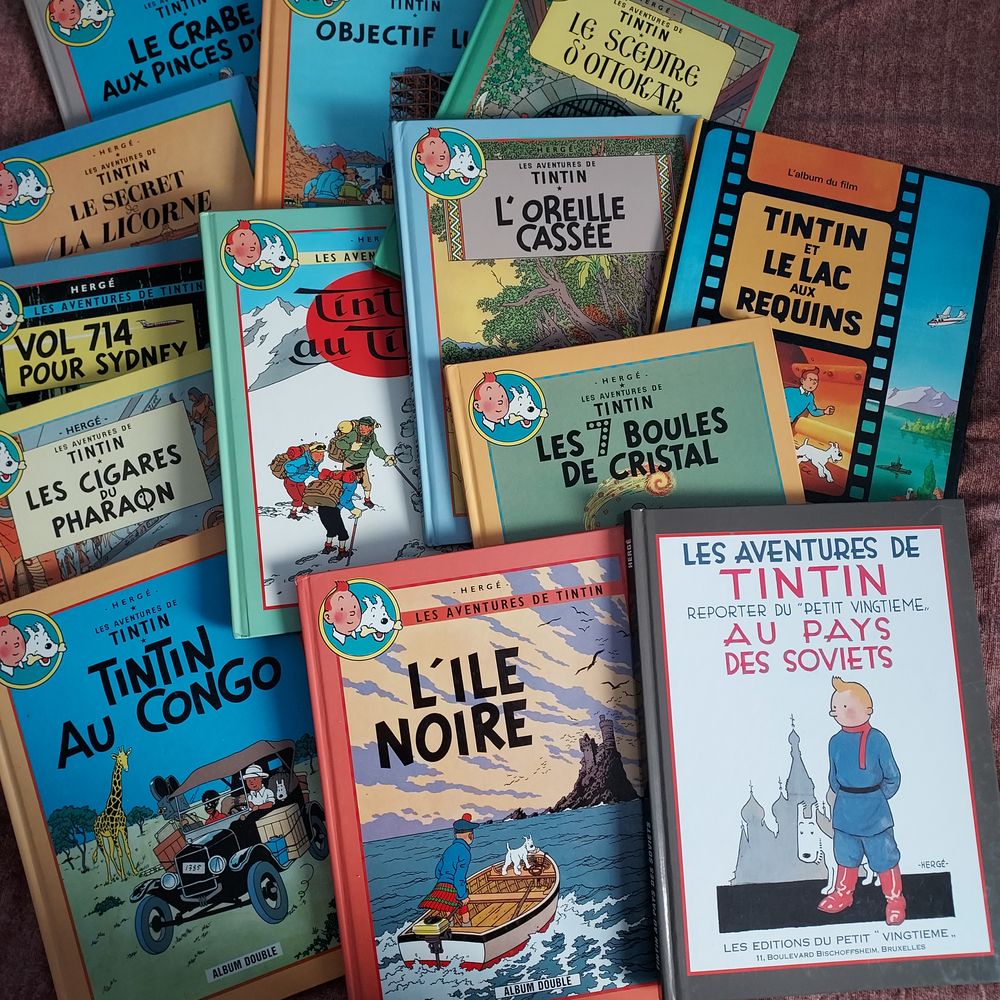 Collection Tintin Livres et BD