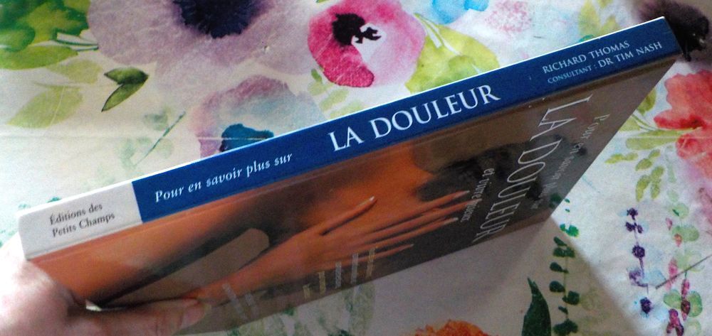 LA DOULEUR Ed. des Petits Champs Livres et BD