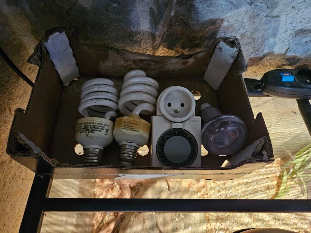 Terrarium (x2) et un occupant (boa) 