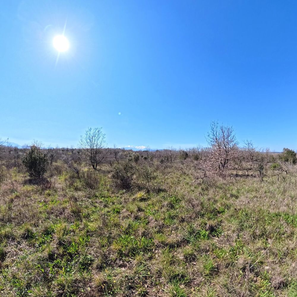 Vente Terrain Terrain agricole d'exception Fourques