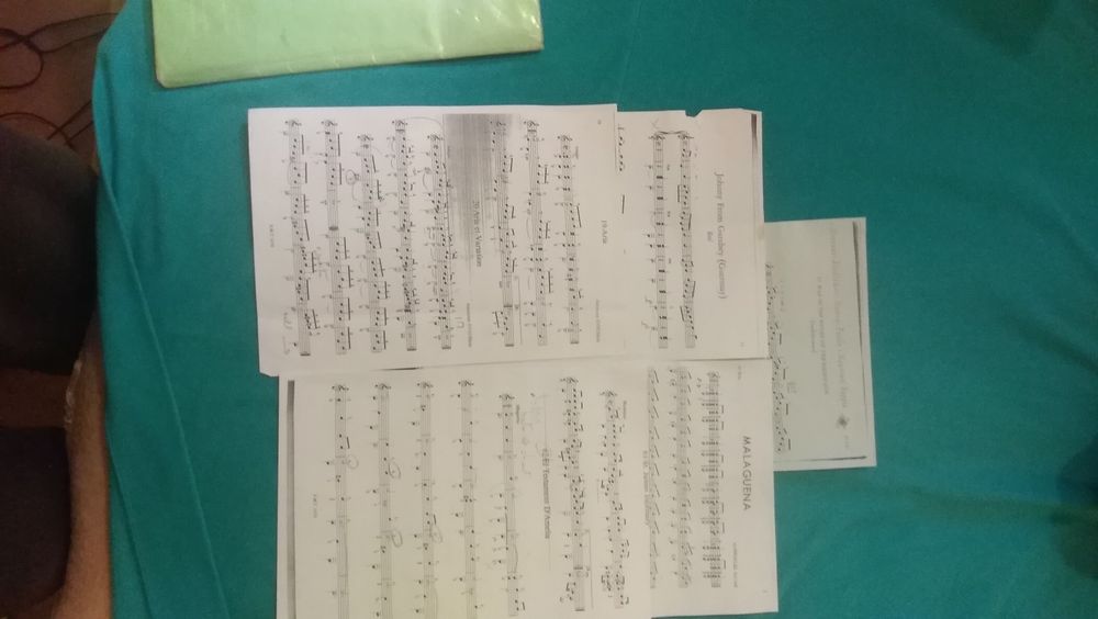 La Guitare Th&eacute;orie et pratique Instruments de musique