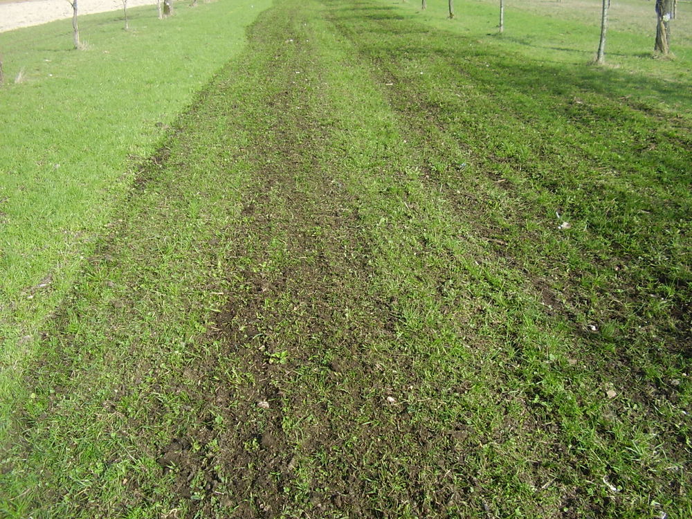 herse de prairie micro tracteur ( 200 cm ) Jardin