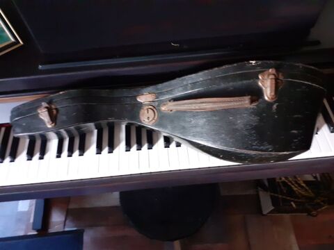 Mandoline Napolitaine Biol (38)