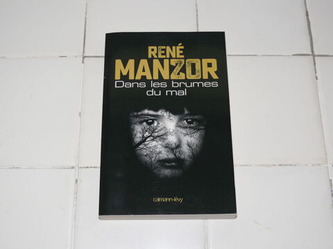 Livre :  Dans les brumes du mal  3 Saintes (17)