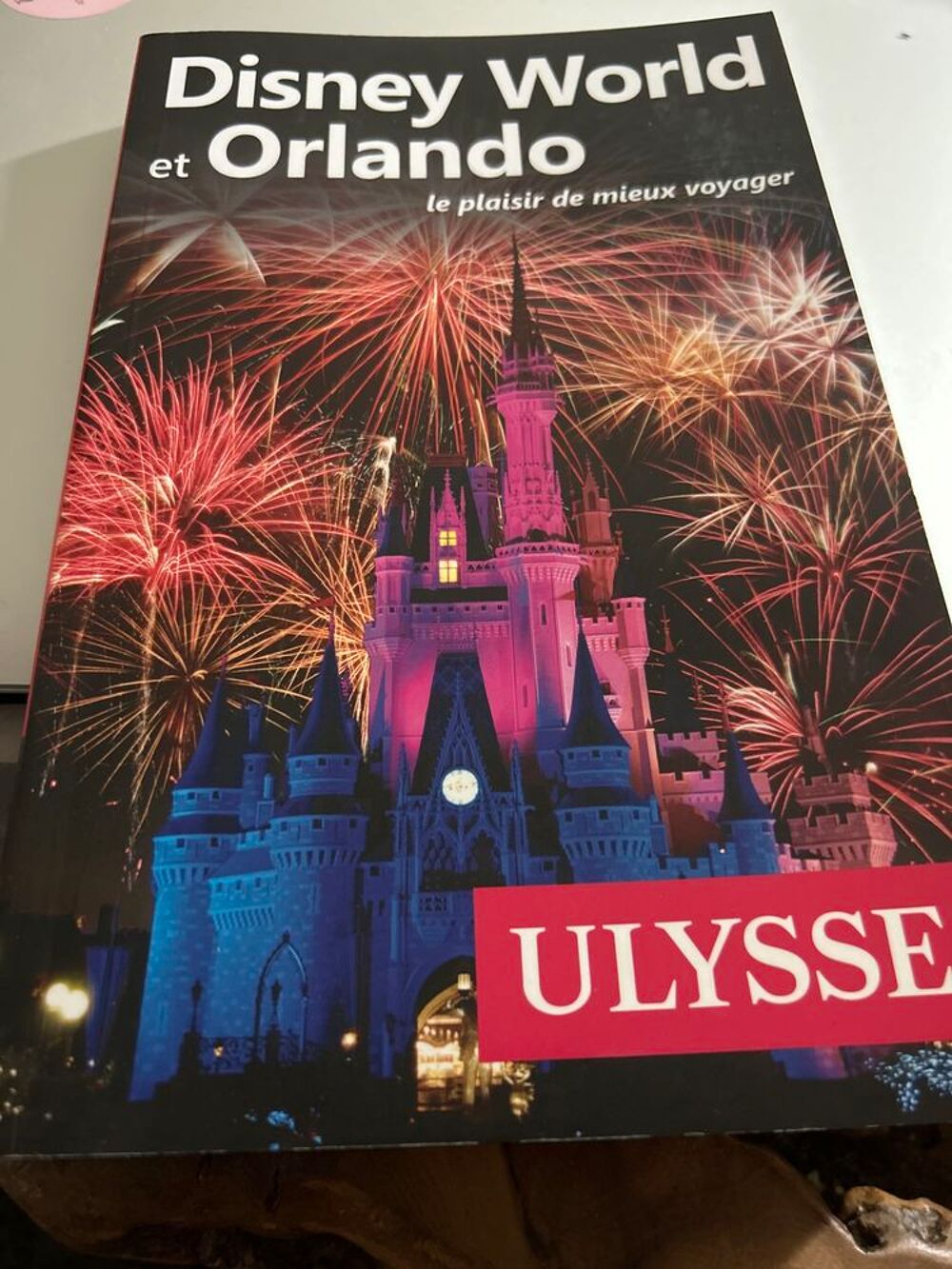 guide de voyage Disney World et orlando Livres et BD
