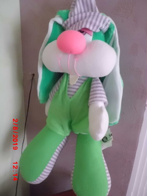 LAPIN BLANC ET VERT SANDY 16 Oignies (62)