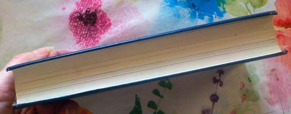 L'HOMME AU PIED BOT de Valentin WILLIAMS Les Classiques de l Livres et BD