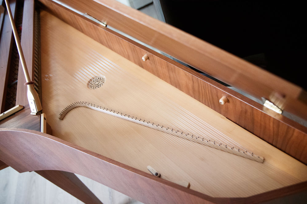 Epinette en mensuelle Instruments de musique