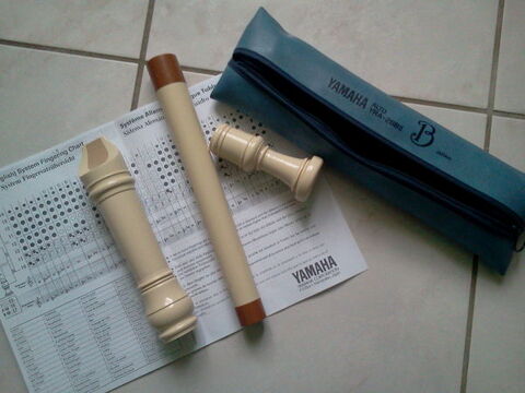 flte trs bon tat 7 Louvern (53)