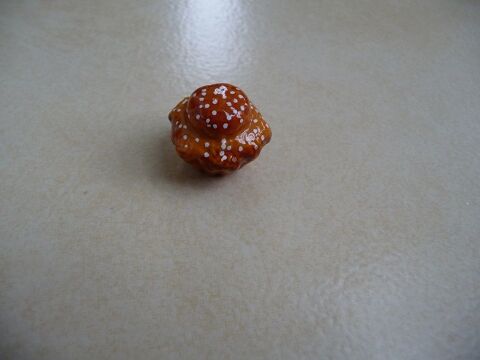 Fve Brioche Parisienne - Neuve 5 Celles-sur-Belle (79)