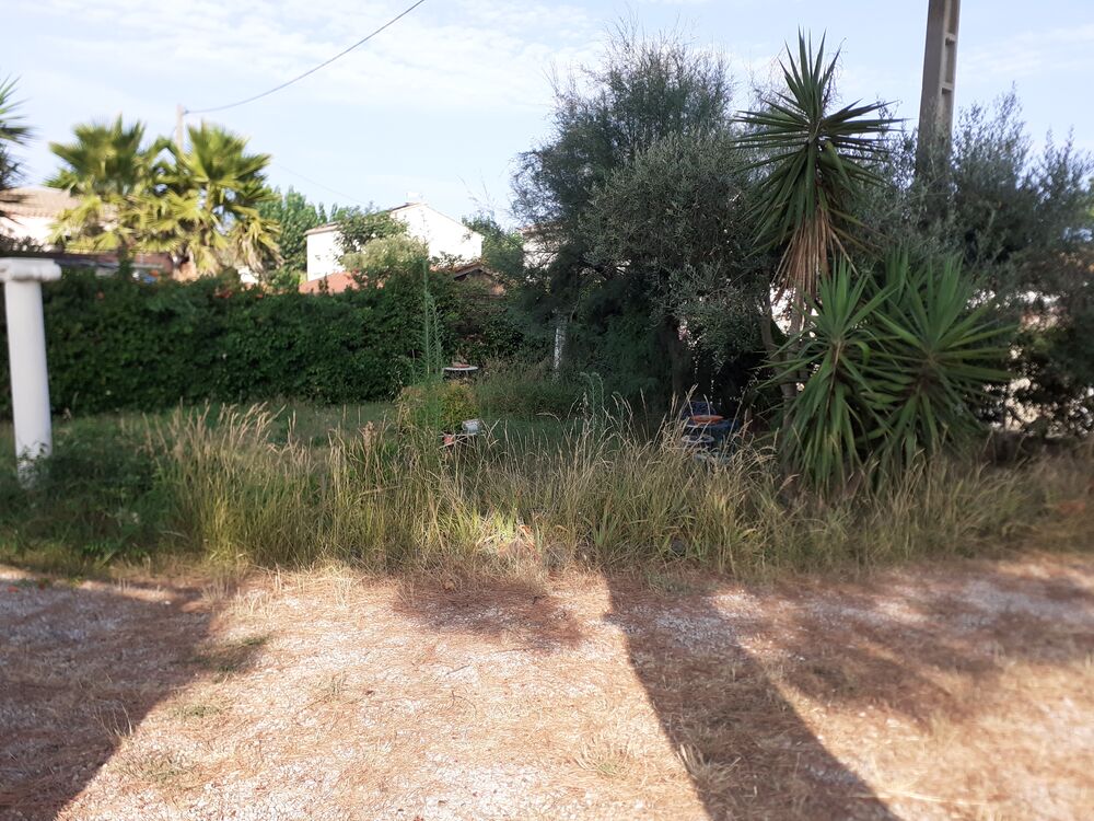 Vente Maison Maison Marseillan -plage 67 m2 produit rare Béziers