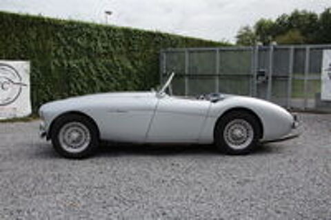  1954 occasion 59310 Auchy-lez-Orchies