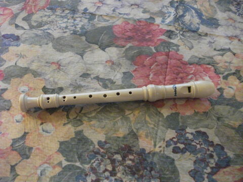 FLUTE  MAPED 25 Paris 20 (75)