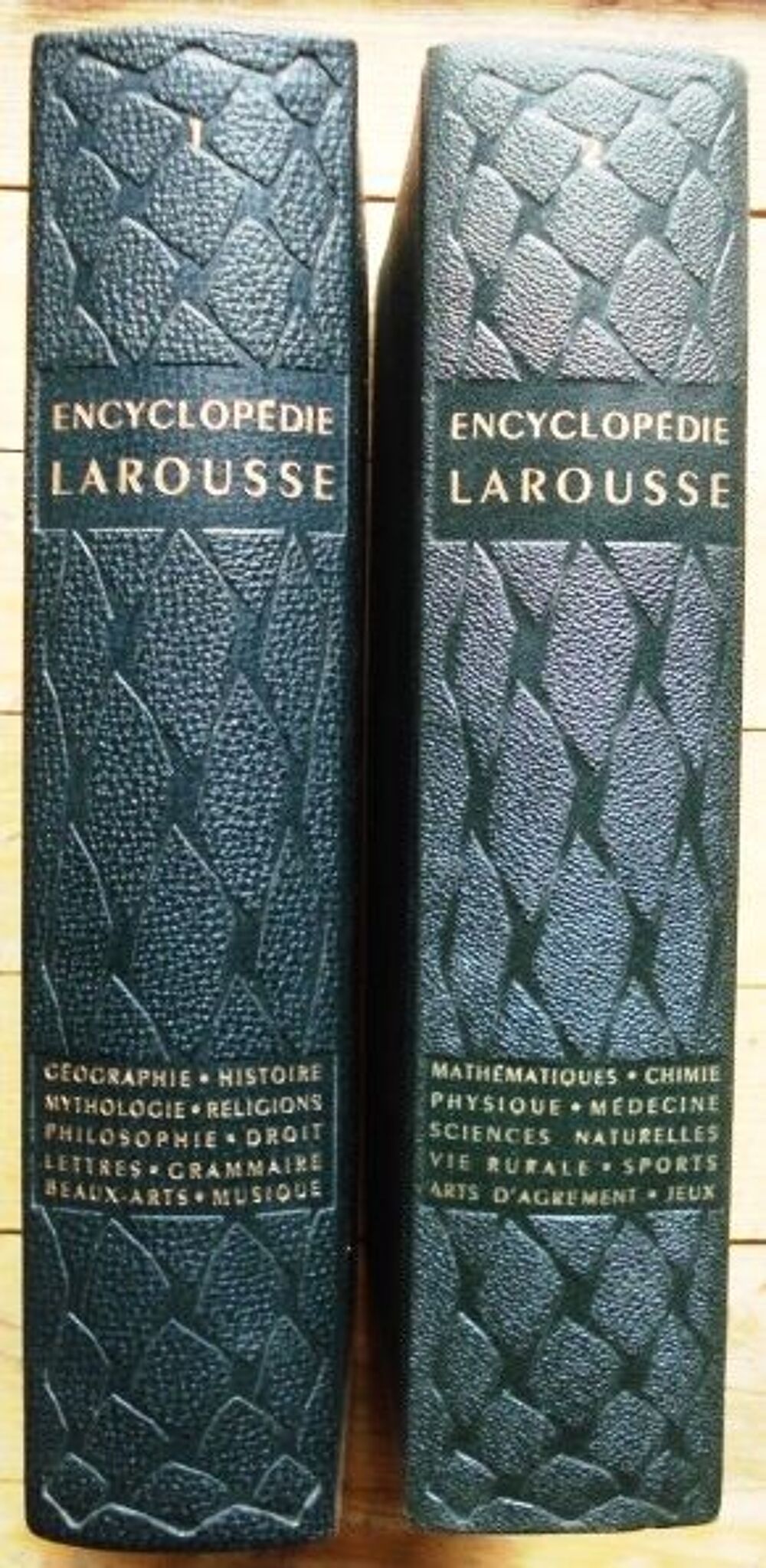 Encyclop&eacute;die Larousse m&eacute;thodique Livres et BD