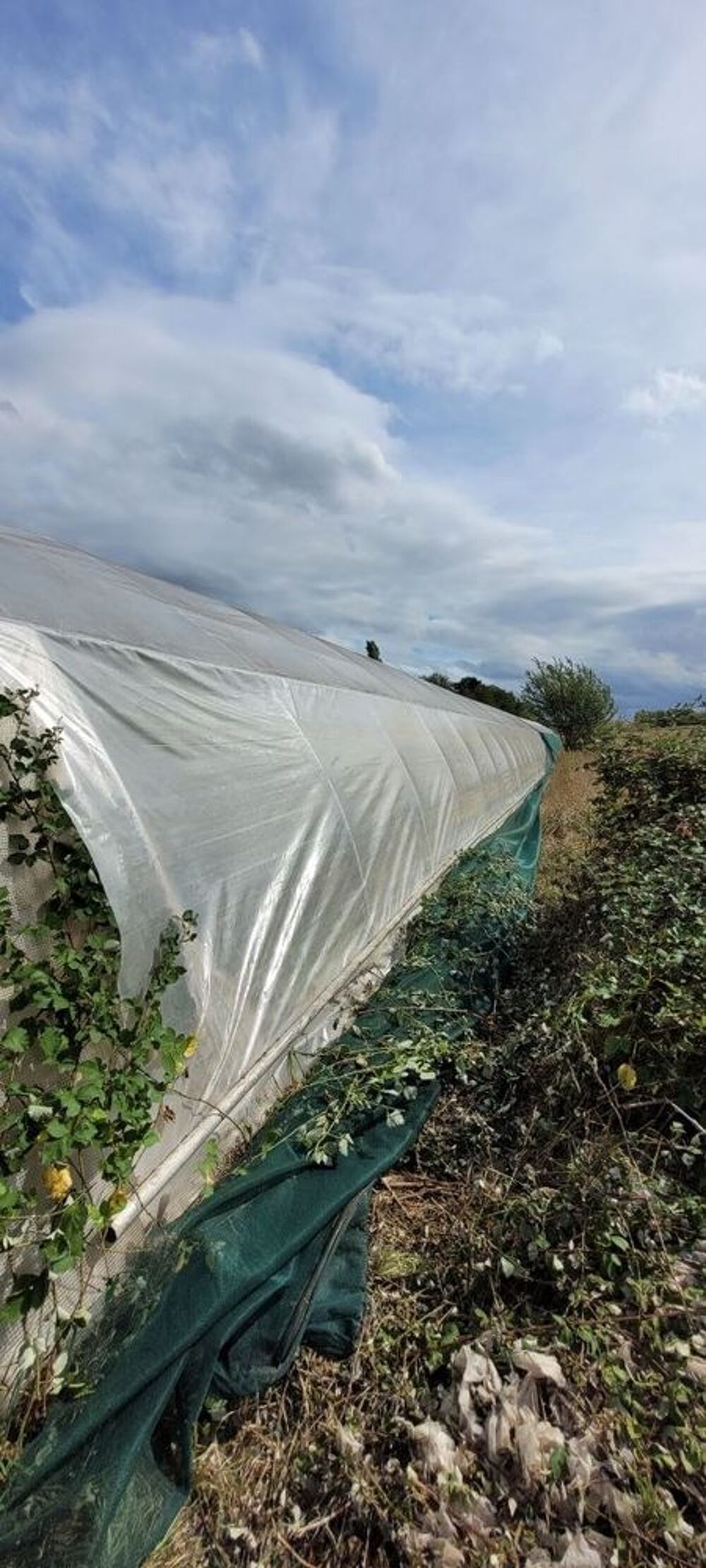 B&acirc;che de serre Jardin