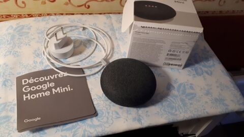 GOOGLE HOME MINI Versailles (78)