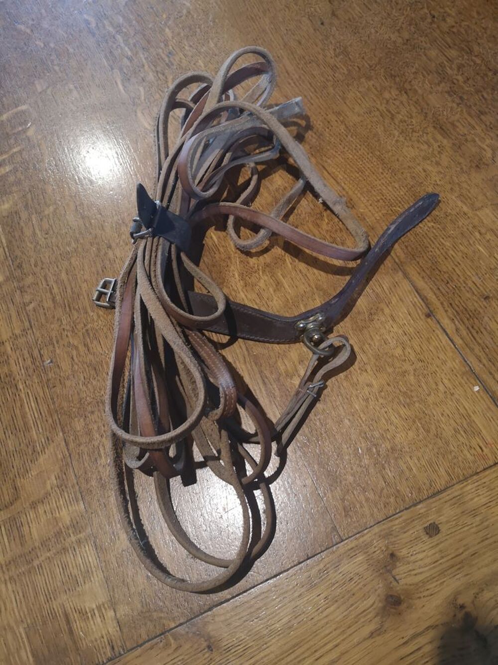 Longe 10 m et collier cuir chien de sang.
Sports