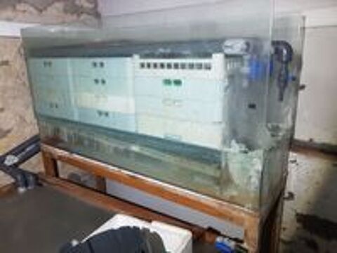   grand aquarium 