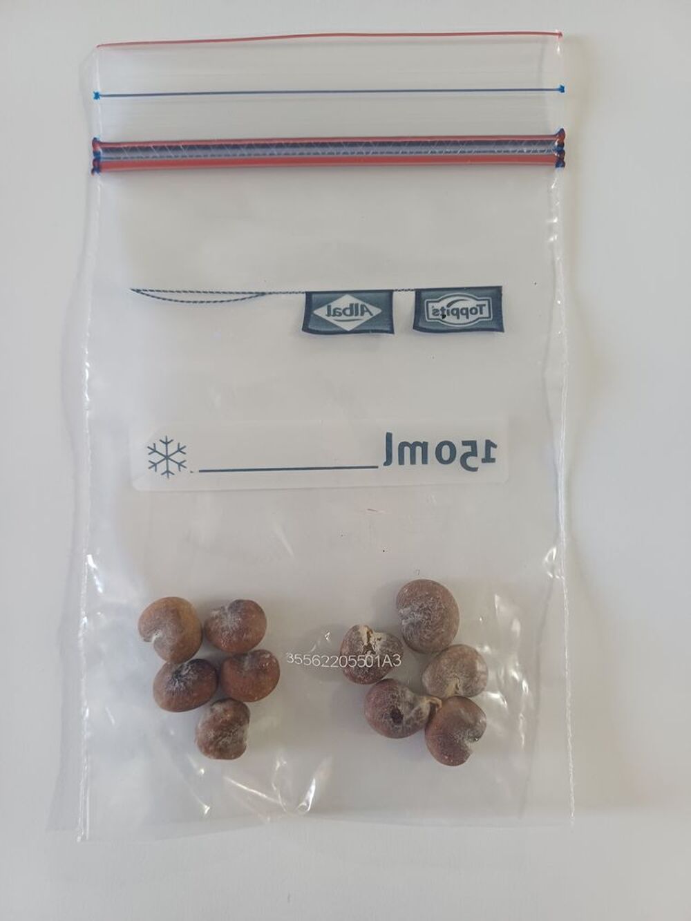 Sachet de 10 graines de BAOBAB &agrave; planter Jardin