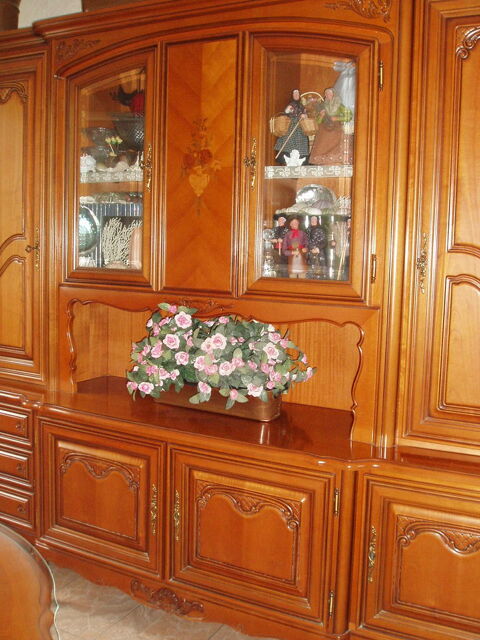LIVING MERISIER MASSIF 550 Chtellerault (86)
