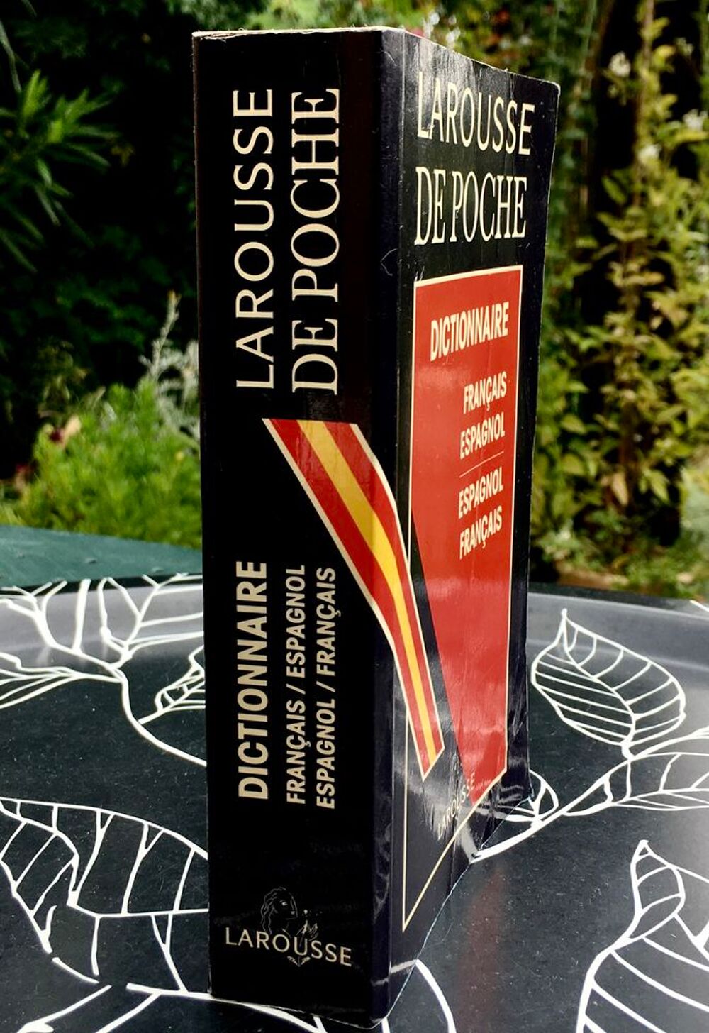 Dictionnaire Fran&ccedil;ais-Espagnol /Espagnol-Fran&ccedil;ais (Larousse) Livres et BD
