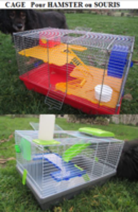   cages pour petit rongeur 