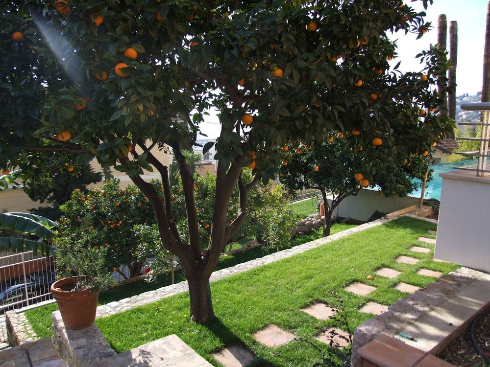 � vendre  Appartement Menton (06500)