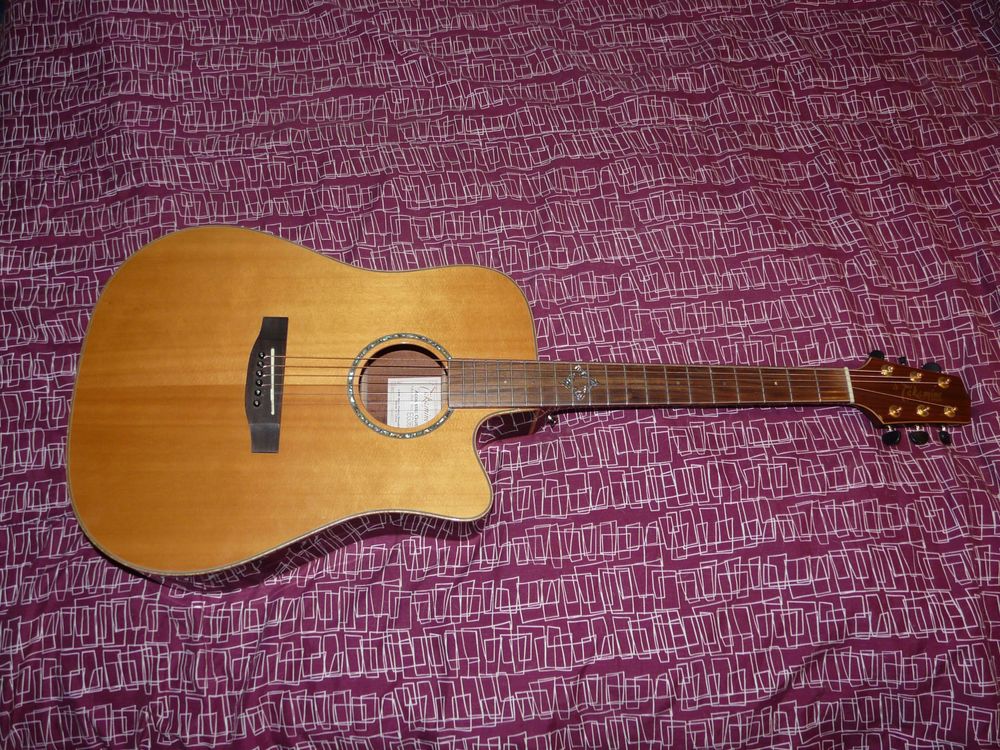 Guitare Takamine Instruments de musique