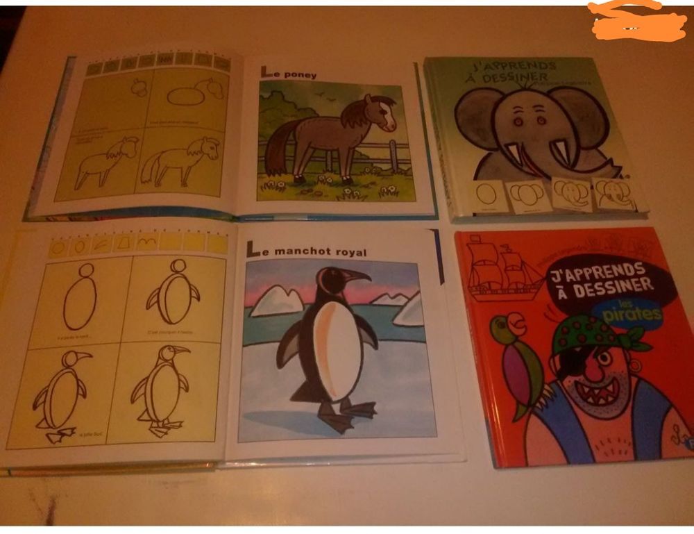 lot de livres pour "apprendre a dessiner " Jeux / jouets