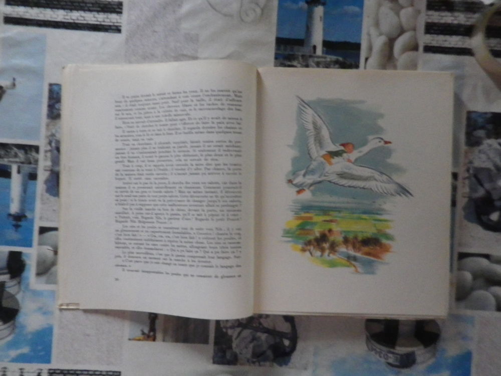 lLE MERVEILLEUX VOYAGE DE NILS HOLGERSSON A TRAVERS LA SUEDE Livres et BD