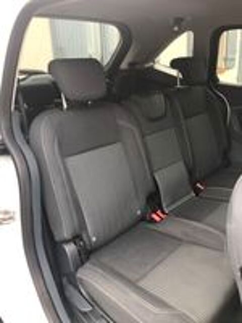Grand C-MAX 1.6 TDCI 115 FAP Titanium 2011 occasion 45760 Marigny-les-Usages