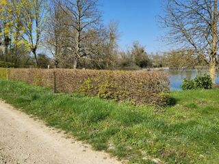  Terrain � vendre 10000 m� Aulnay-sur-marne