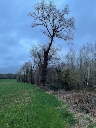  Terrain � vendre 3780 m� 