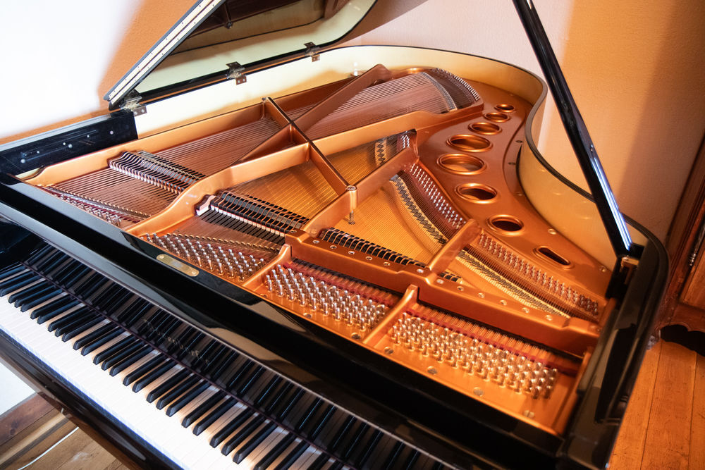 B&ouml;sendorfer Instruments de musique