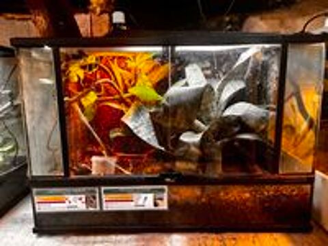   Terrarium terratlantis 90/45/60 